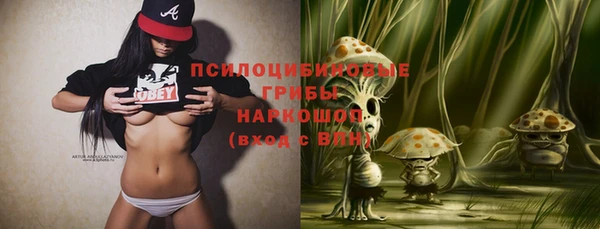 амф Алексин