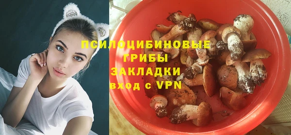 ALPHA PVP Армянск